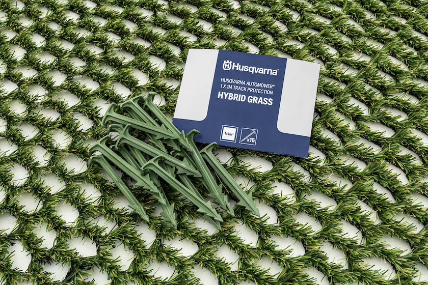Hybrid Grass